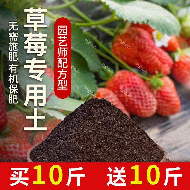 草莓专用土果苗泥土营养土草莓专用肥料水果透气室内土壤蔬果黑土