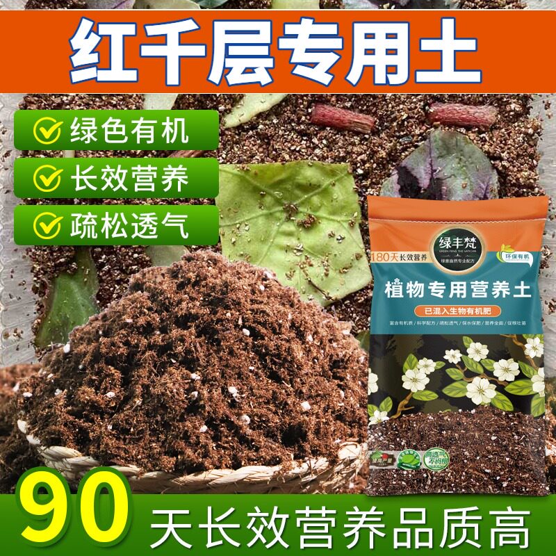 红千层适用轻质基质土种植土有机质丰富保水锁水开袋即用喜酸