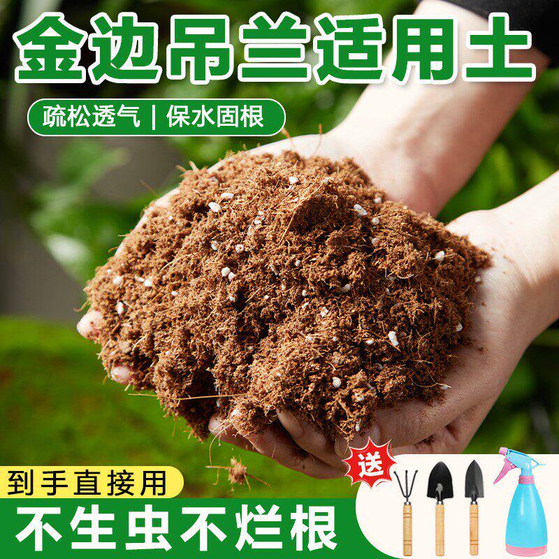 金边吊兰专用营养土养花通用专用土壤种植土泥炭土花土通用型家用