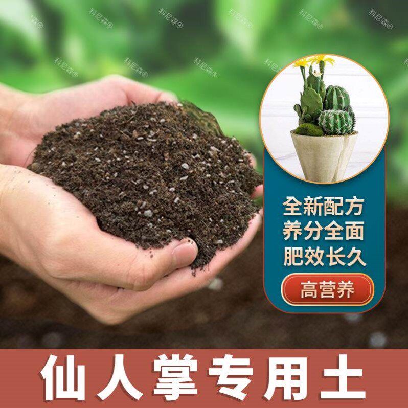仙人掌专用土仙人掌专用肥料花草养花天然花卉黑土阳台盆栽土壤