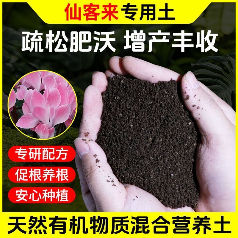 仙客来营养土种菜养花专用肥料通用型土壤种植土蔬菜盆栽有机疏松