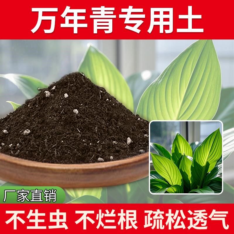 万年青专用土绿植物土壤有机土盆栽专用土椰砖盆栽土壤育苗花土