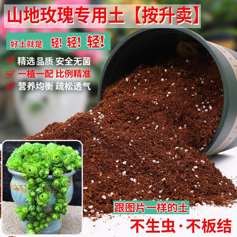 山地玫瑰专用土轻质土营养土多肉植物养花通用型泥炭植料盆栽土壤