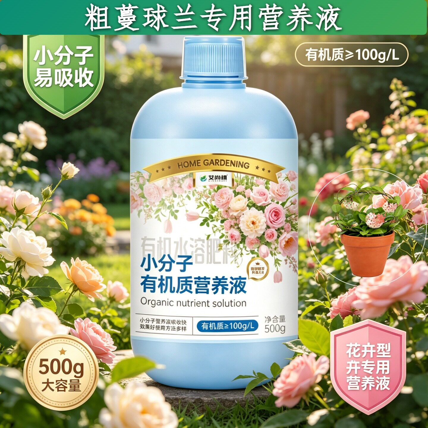粗蔓球兰适用观叶型营养液小分子有机质快速吸收园艺盆栽根叶双补