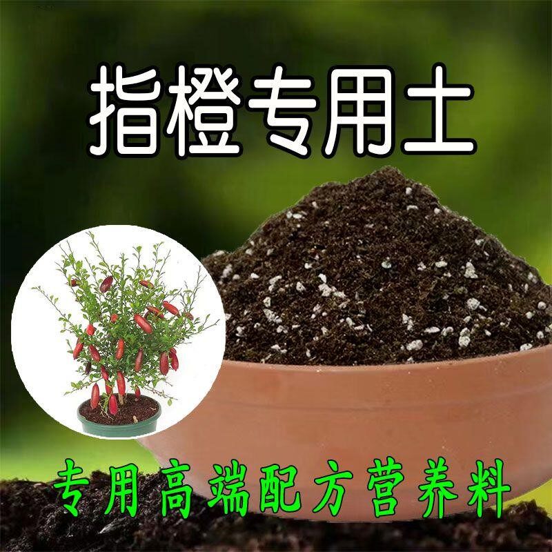 指橙专用土营养土种水果树通用型酸性土壤肥料疏松透气有机腐殖土