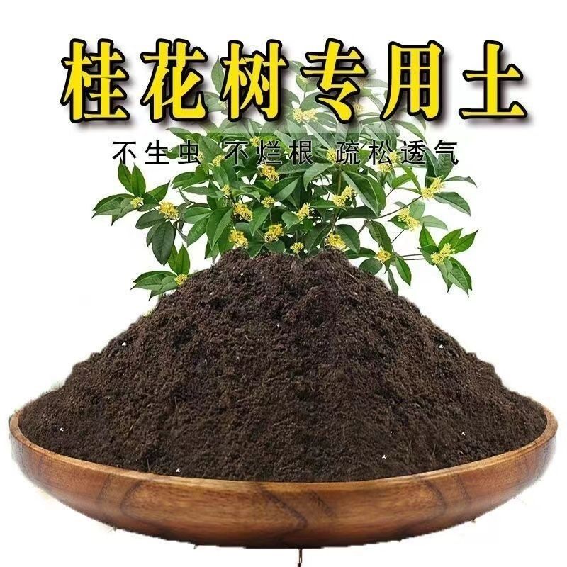 桂花树专用土桂花树专用营养土种植土盆栽绿植土养花土壤有机肥料