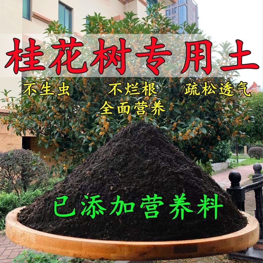 桂花树种植土壤专用营养土盆栽种花土养花土多肉育苗土兰花土肥料