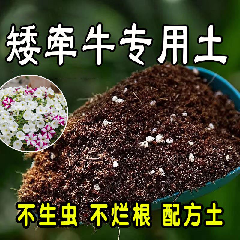 矮牵牛专用营养土 矮牵牛专用土 盆栽花土种花养花种植土壤通用型
