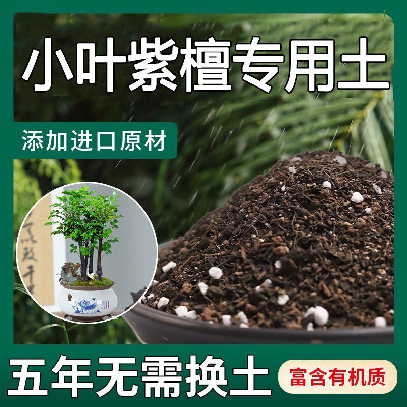 小叶紫檀专用土小叶紫檀土盆栽盆景营养土酸性沙质土壤种植土肥料