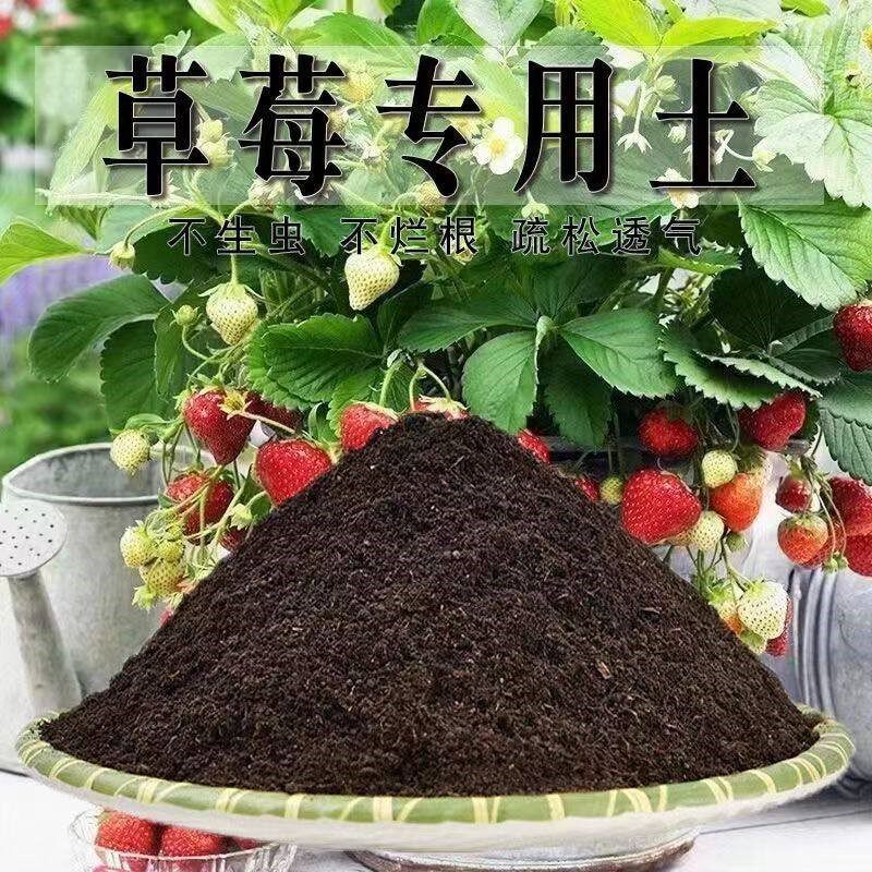 草莓专用土有机营养土草莓土种植土泥土绿植家用盆栽草莓土壤花土