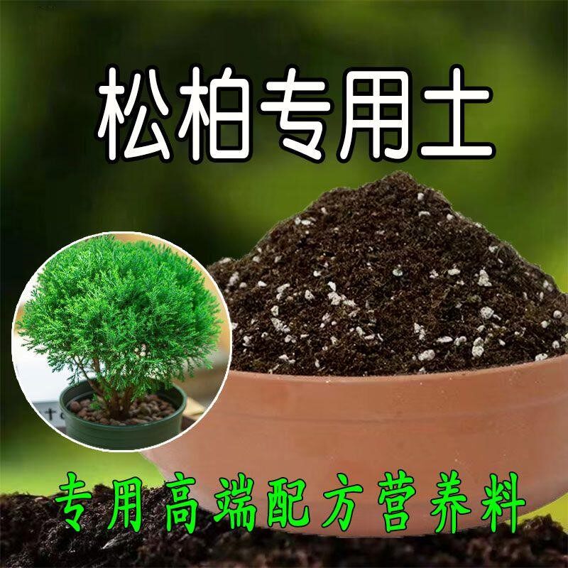 松柏专用土盆栽盆景营养土酸性沙质土壤绿植种植土肥料有机腐殖土