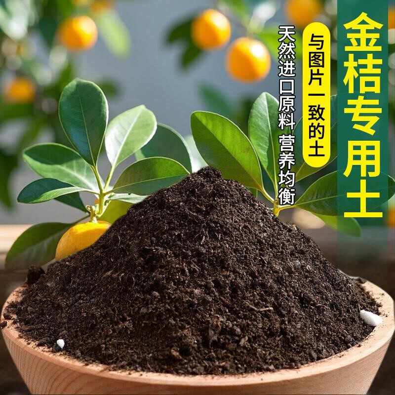 金桔专用土花园植物种植土种树有机土绿植金桔专用营养土阳台疏松