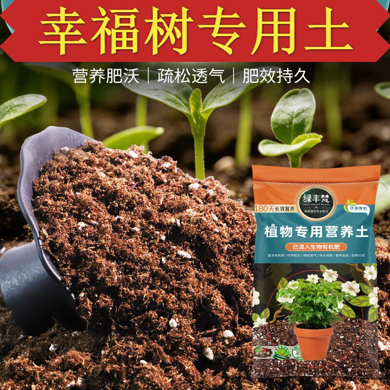 幸福树适用基质家庭适用绿植盆栽土轻量基质调节土质开袋即用观叶