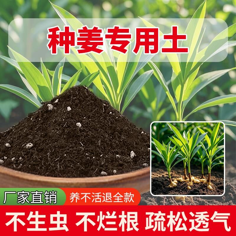 种姜专用土发酵通用泥土有机土种树植物通用型盆栽专用土蓬松绿植