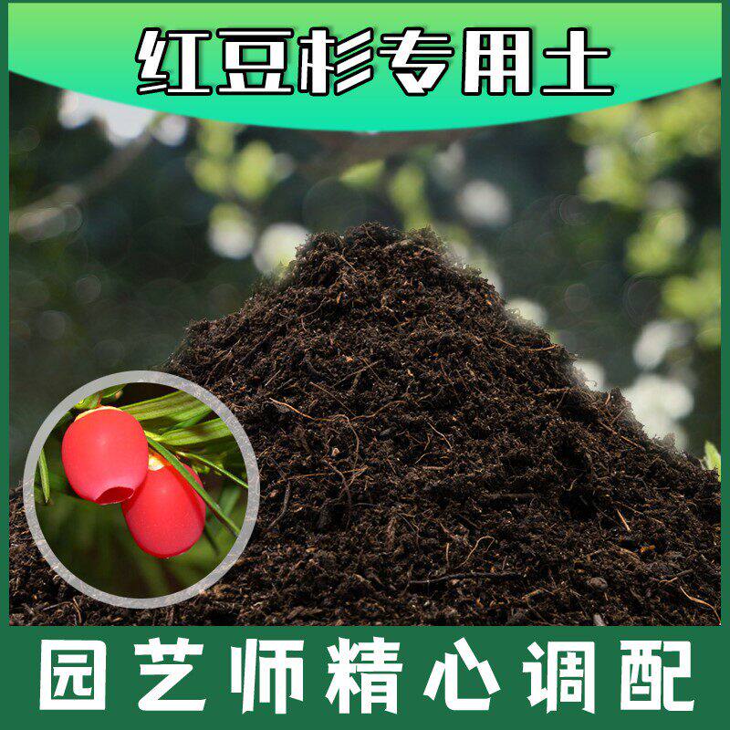 红豆杉专用土腐殖土种花养花盆栽绿植土红豆杉营养土种植有机土壤