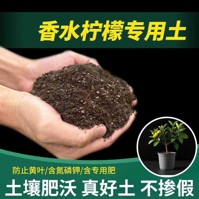 香水柠檬专用土盆栽专用土家庭透气种植土椰砖花肥有机肥土壤蓬松