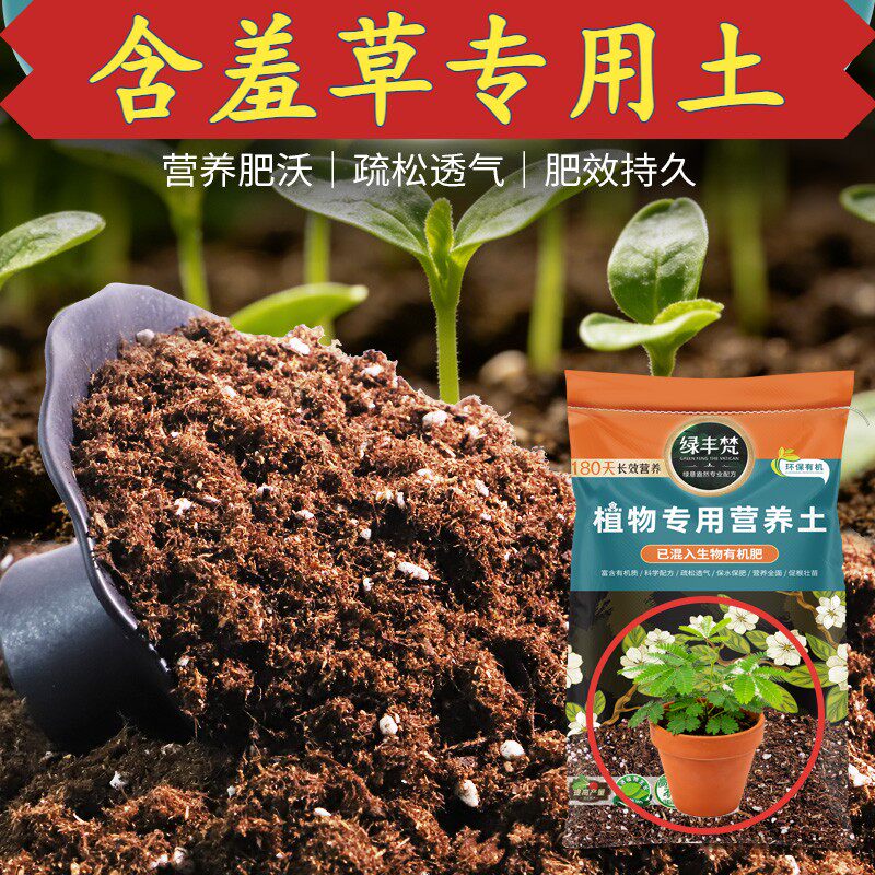 含羞草专用轻质土促开花花卉营养土配比科学辅助发根试用装观花