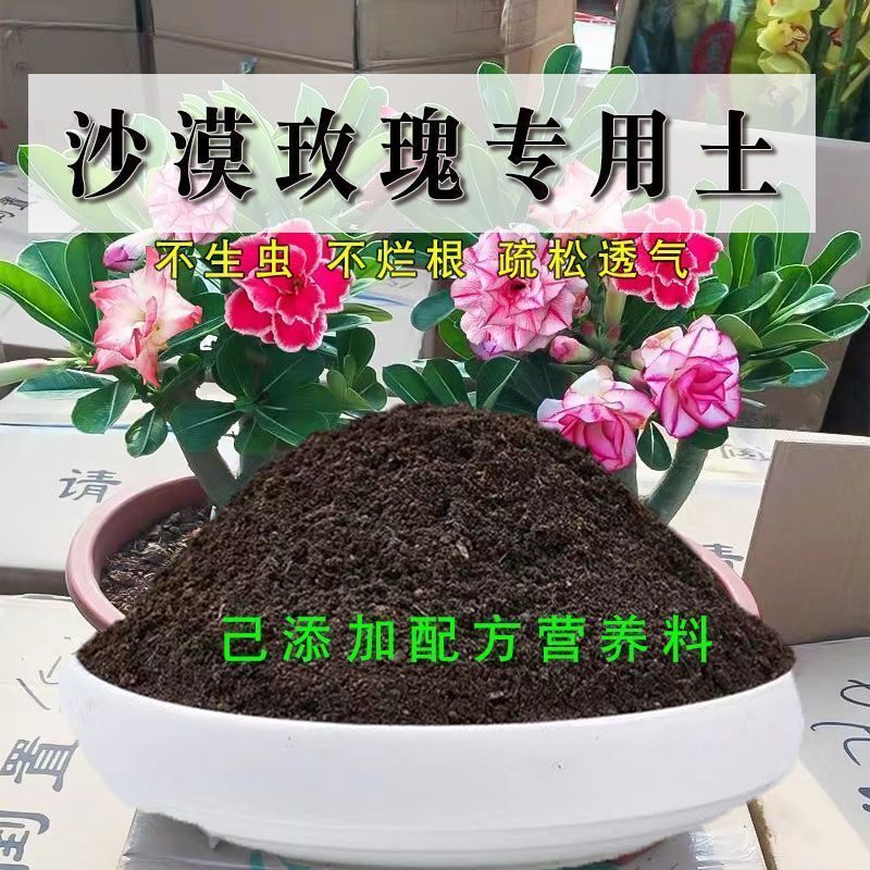 沙漠玫瑰专用土盆栽有机花土种花沙漠玫瑰营养土壤养花通用种植土