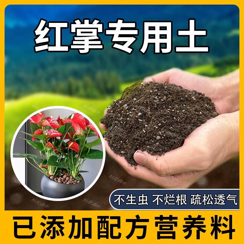红掌专用土肥料红掌营养土泥土种植盆栽土壤蓬松天然花盆黑土家庭