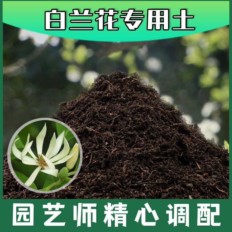 白兰花专用土腐殖土种花养花盆栽绿植土白兰花营养土种植有机土壤