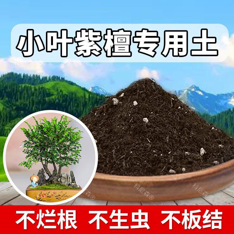 小叶紫檀专用土肥料家庭泥土阳台花卉盆栽有机土小叶紫檀营养土