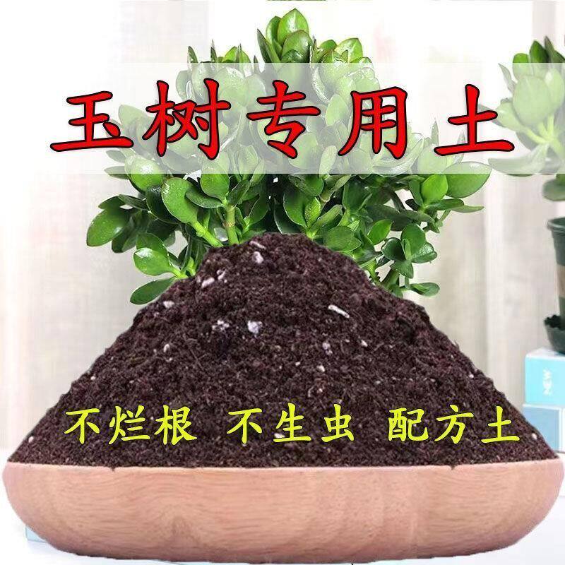 玉树专用土养花专用通用家用盆栽土花卉玉树有机土玉树专用营养土