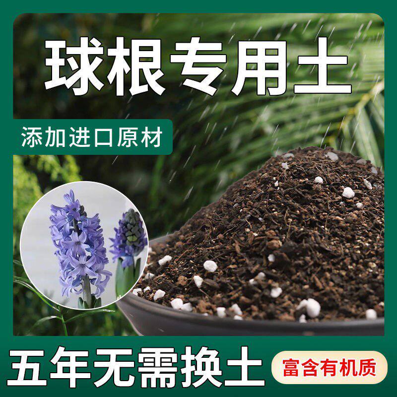 球根专用土种球植物营养土育苗基质郁金香洋水仙通用型花土壤肥料