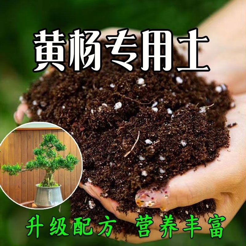 黄杨种植土壤专用营养土盆栽土种花土养花土多肉育苗土兰花土肥料