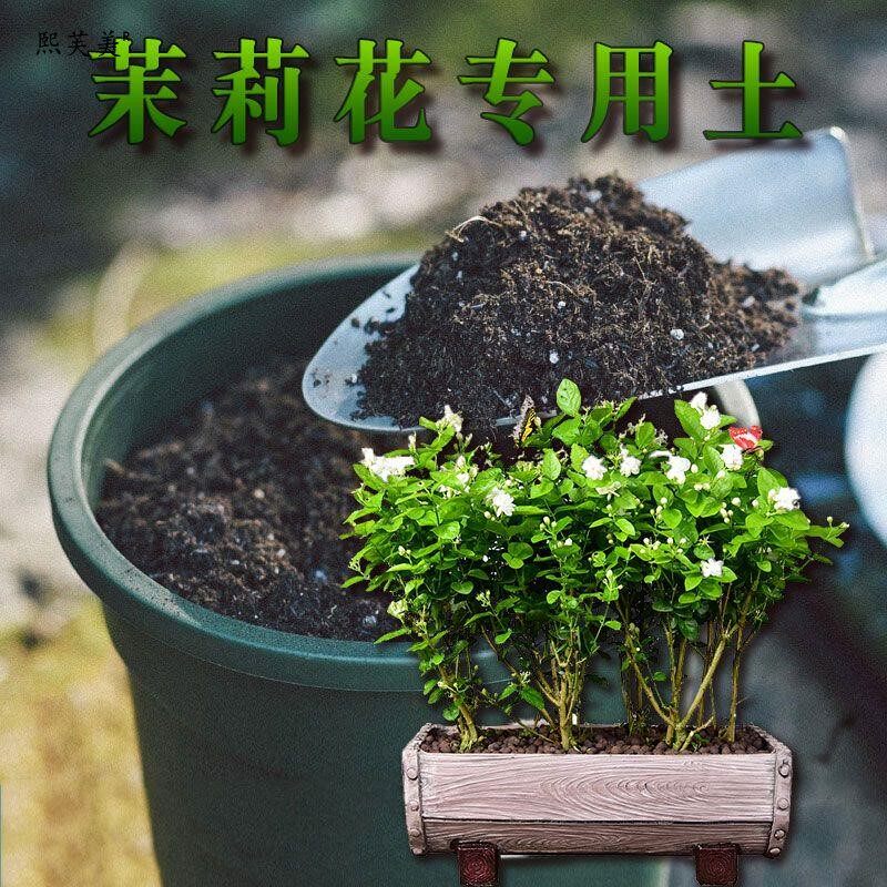 茉莉花专用土茉莉花专用营养土酸性家用花土壤养花种植土泥土通用