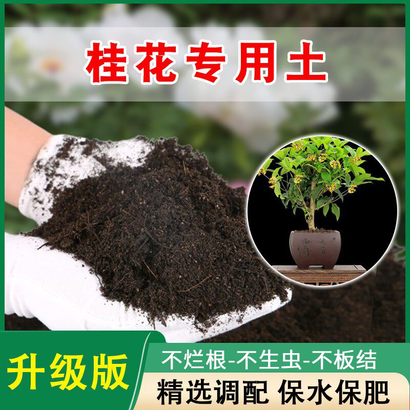 桂花专用土种花养花盆栽土桂花树营养土肥料专用肥土壤泥土种植土