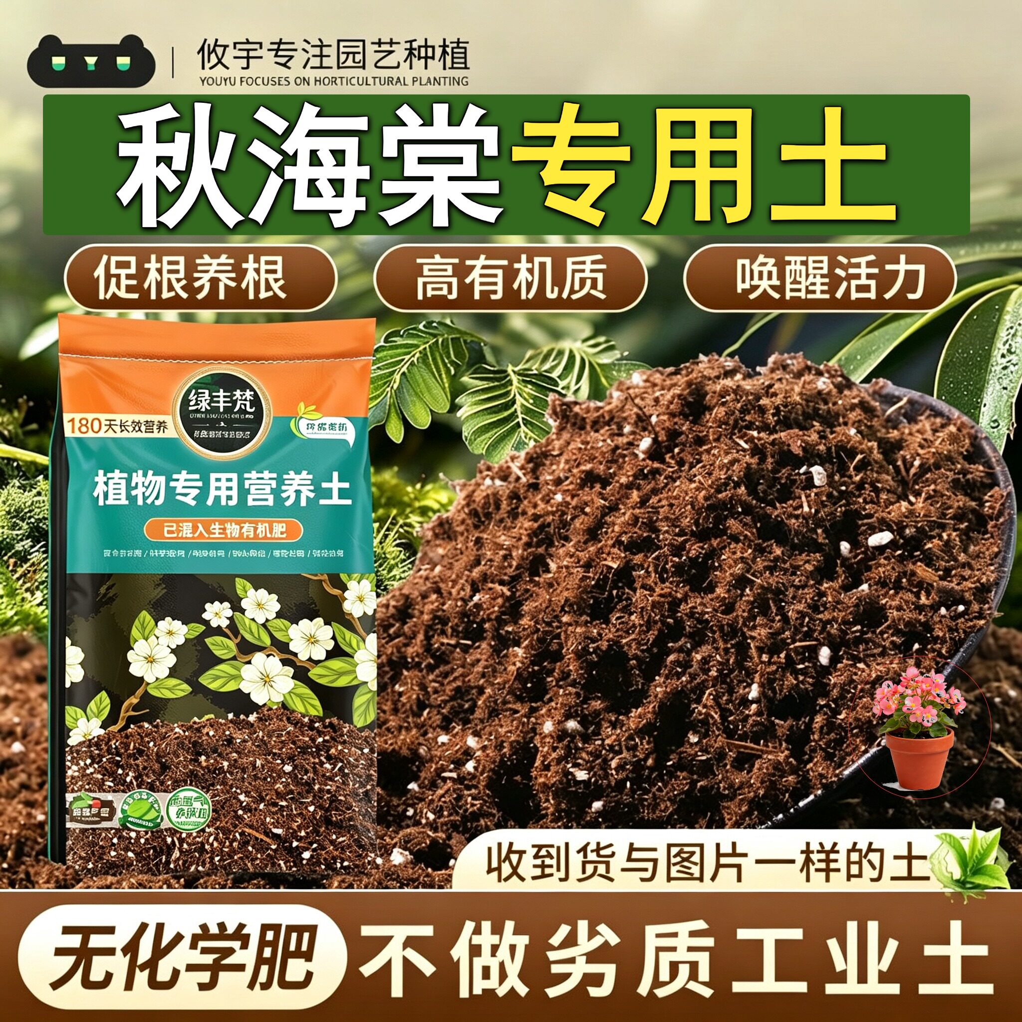 秋海棠适用轻质园艺土种植土腐熟充分调节土质开袋即用球根