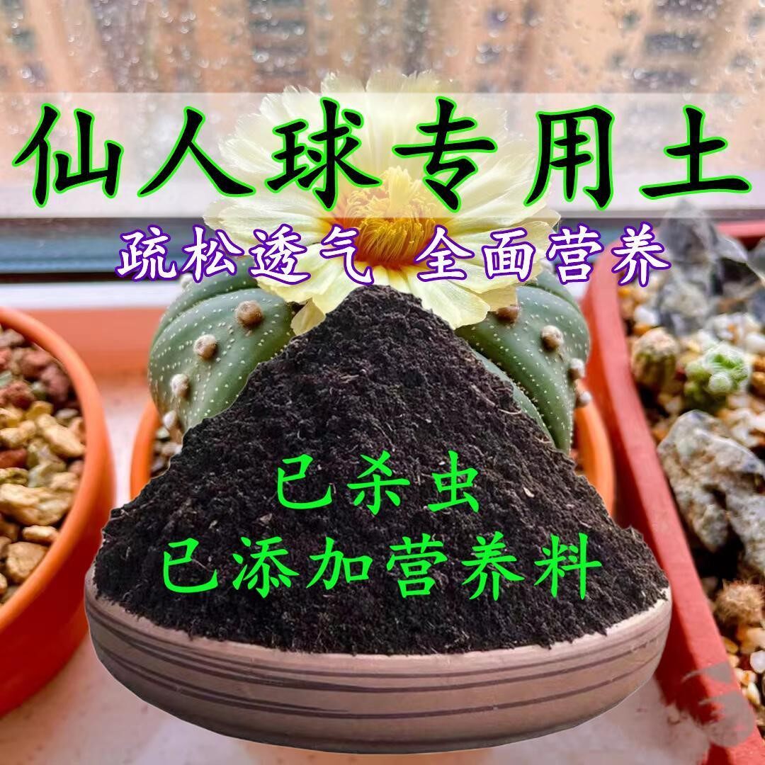 仙人球专用土仙人掌专用营养土盆栽养花种花土通用种植土有机肥料