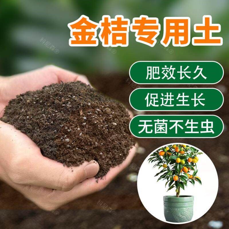 金桔专用土有机营养肥料果树种植土壤家庭果园盆栽种植花泥有机土