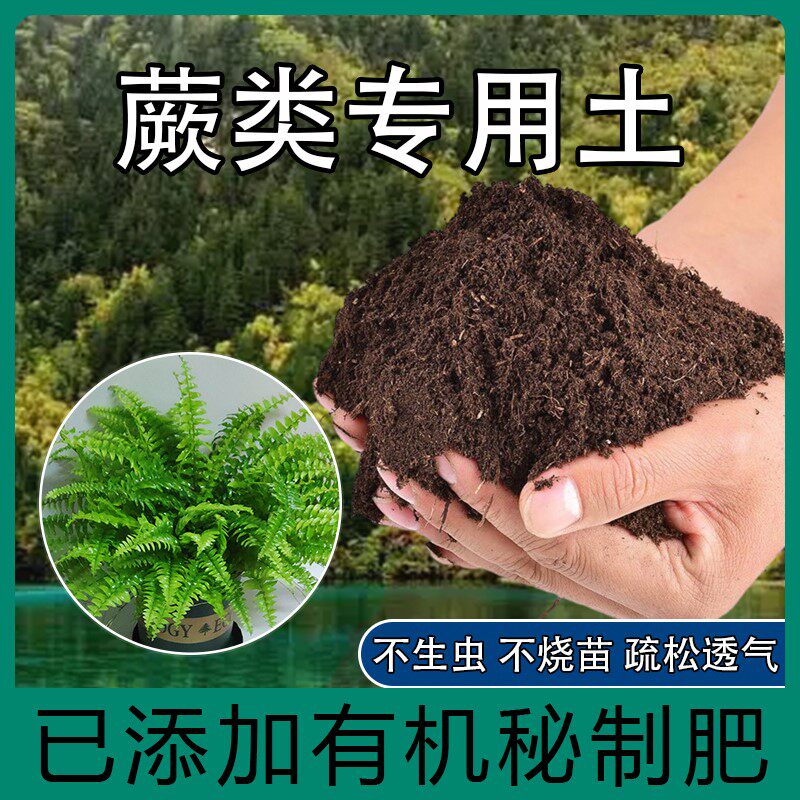 蕨类植物专用土肥料铁线蕨鳞毛蕨狗脊蕨波斯顿蕨营养土盆栽种植土