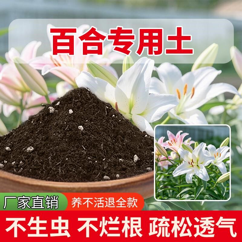 百合专用土有机种花植物泥土盆栽种菜土室内养花专用土花园花肥