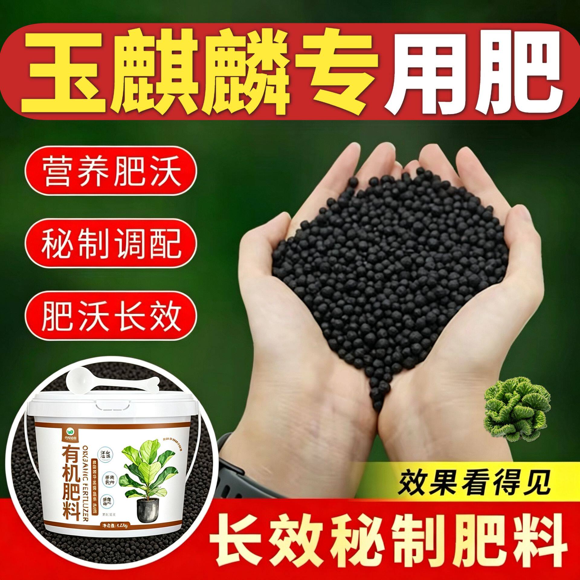 玉麒麟适用肥水溶肥有机肥枝繁叶茂叶片肥厚阳台追肥平衡肥营养肥