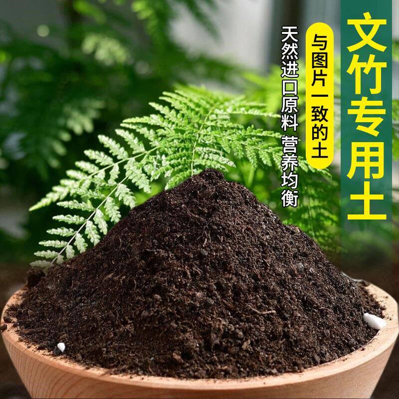 文竹专用土种花土花盆育苗花土椰砖室内养花专用土疏松花肥天然