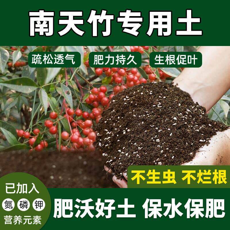 南天竹专用土树类通用南天竹营养土室内盆栽有机土腐殖土发酵土