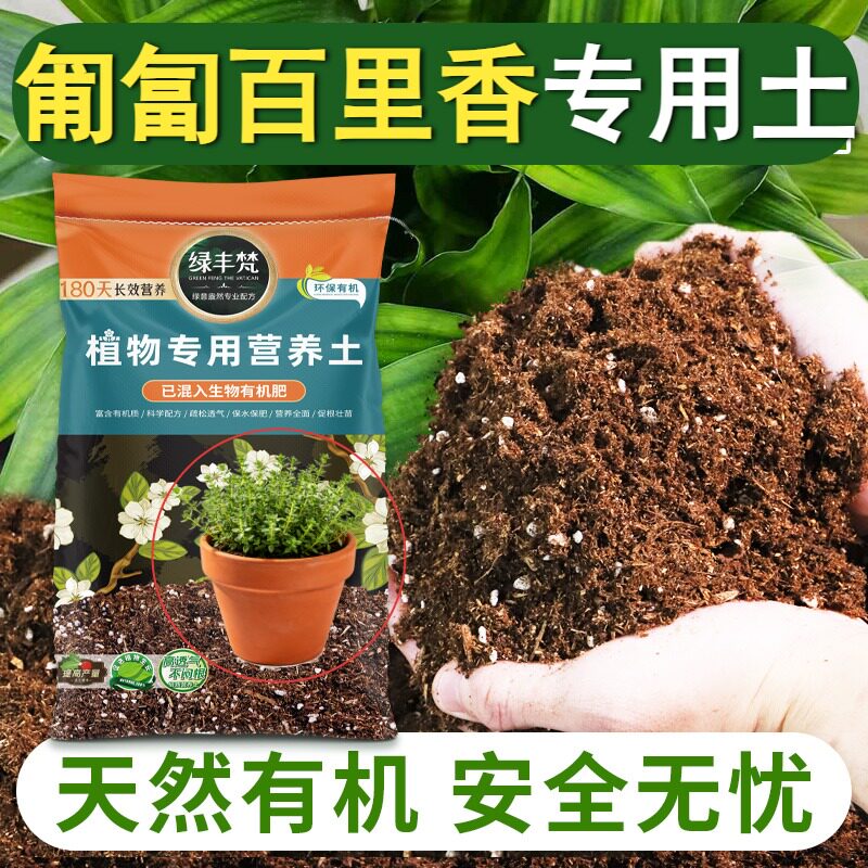 匍匐百里香专用腐殖土天然原料花盆盆栽土天然维持疏松实惠装木本