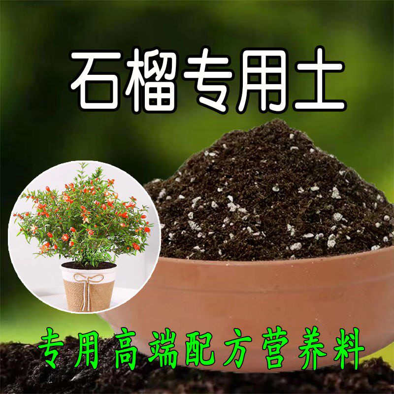 石榴专用土石榴专用营养土果树盆栽花土种植土壤有机肥料腐殖土