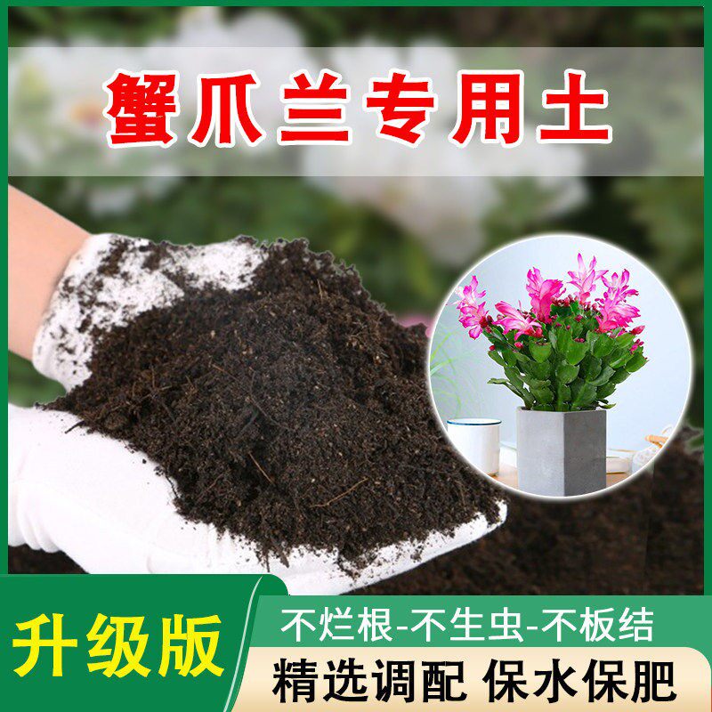 蟹爪兰专用土养花种花营养土通用肥料泥土盆栽土蟹爪莲蟹脚兰土壤