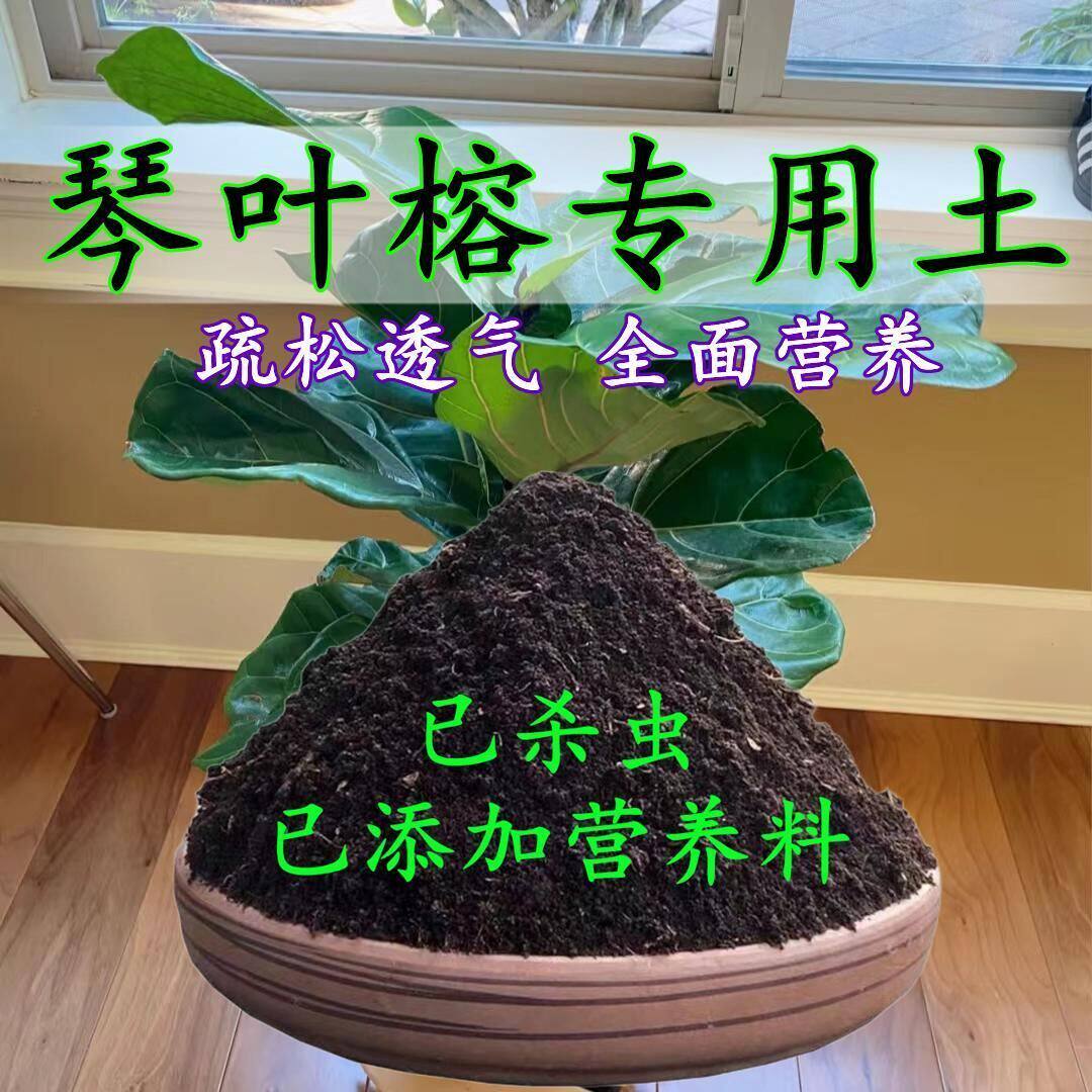 琴叶榕专用土琴叶榕专用营养土盆栽养花种花土通用型种植土壤肥料