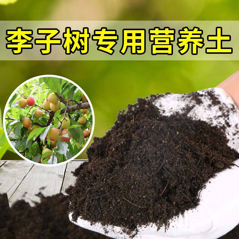 李子树专用土农业果园种植土李子树营养土家庭果树有机土壤盆栽土