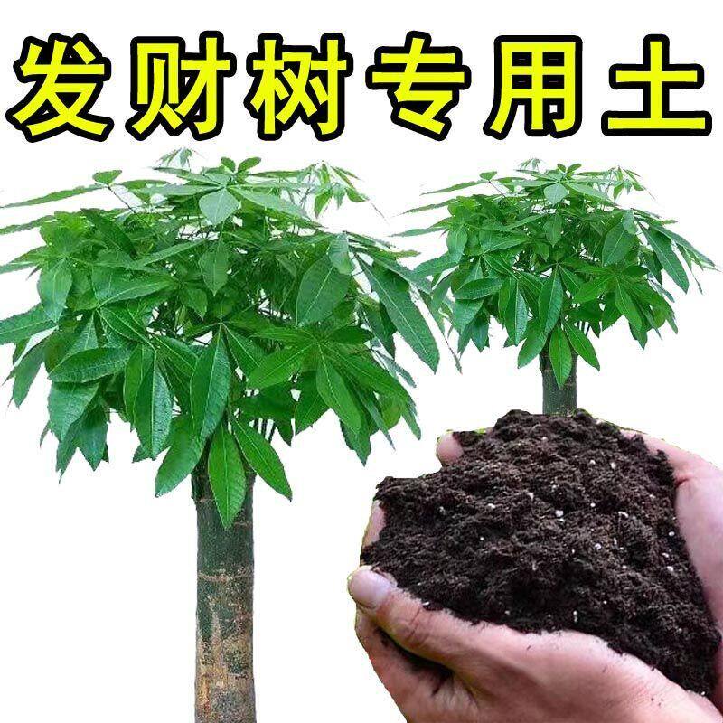 发财树专用土营养土盆栽土客厅养花种花土花卉土室内种植土田园土