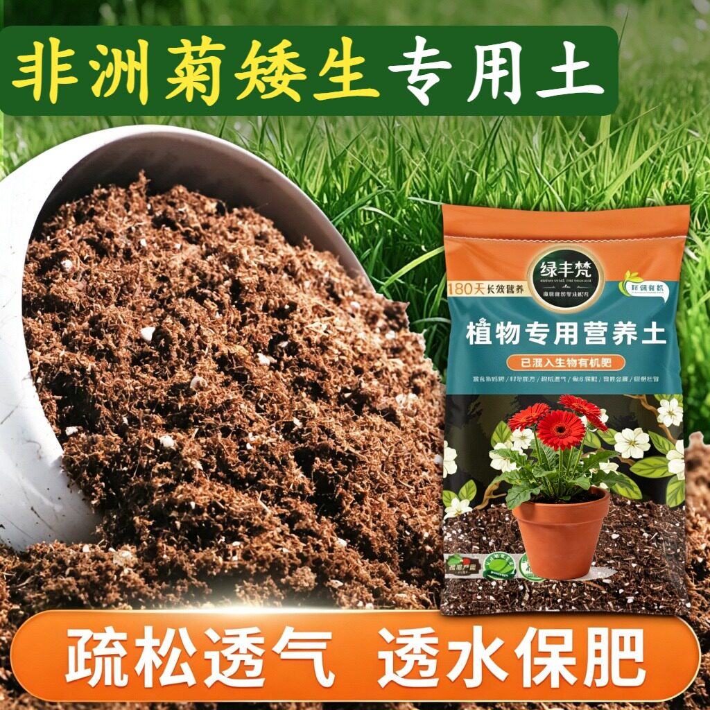 非洲菊矮生适用营养土利于发根种植土腐熟充分维持疏松实惠装观叶