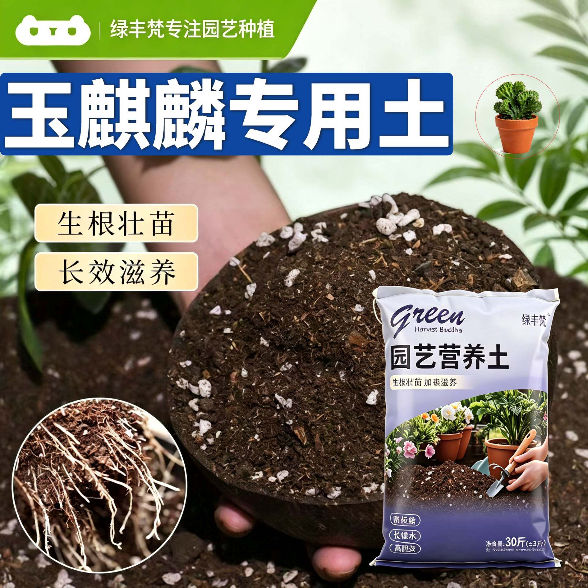 玉麒麟适用轻质土不闷根家庭园艺加有机肥精选防黄叶多肉保水保肥