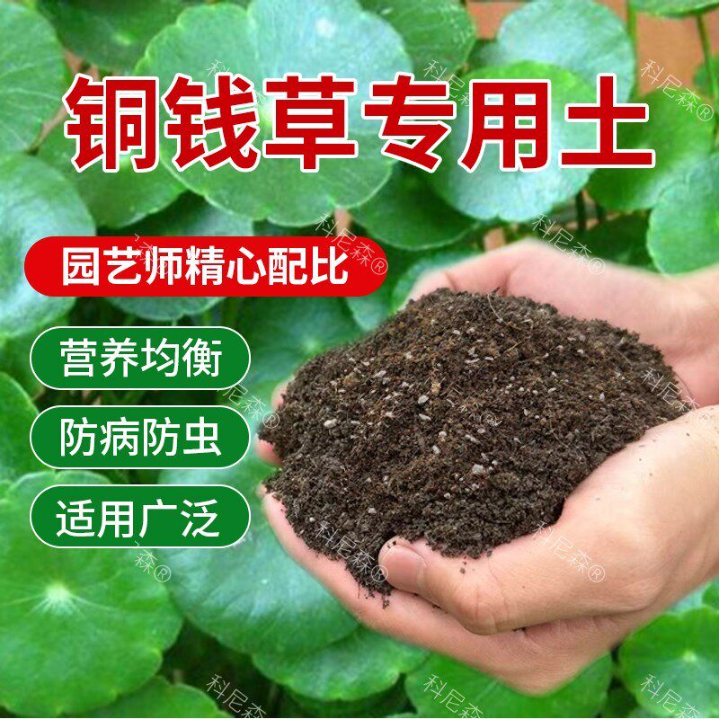 铜钱草专用土铜钱草营养土盆栽绿植土家庭养花土壤有机肥料种植土