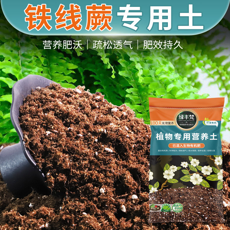 铁线蕨家用轻质有机土根壮苗好保水保肥嫁接盆栽土不板结专用园艺