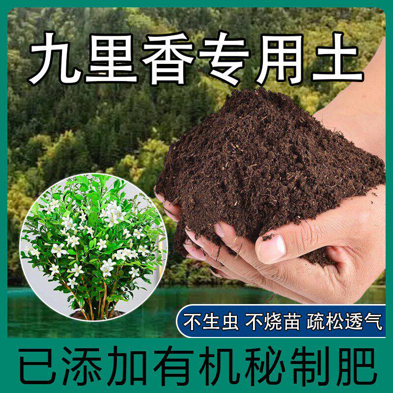 九里香专用土大叶盆栽营养土壤种植土植物室内酸性盆栽花土有机肥