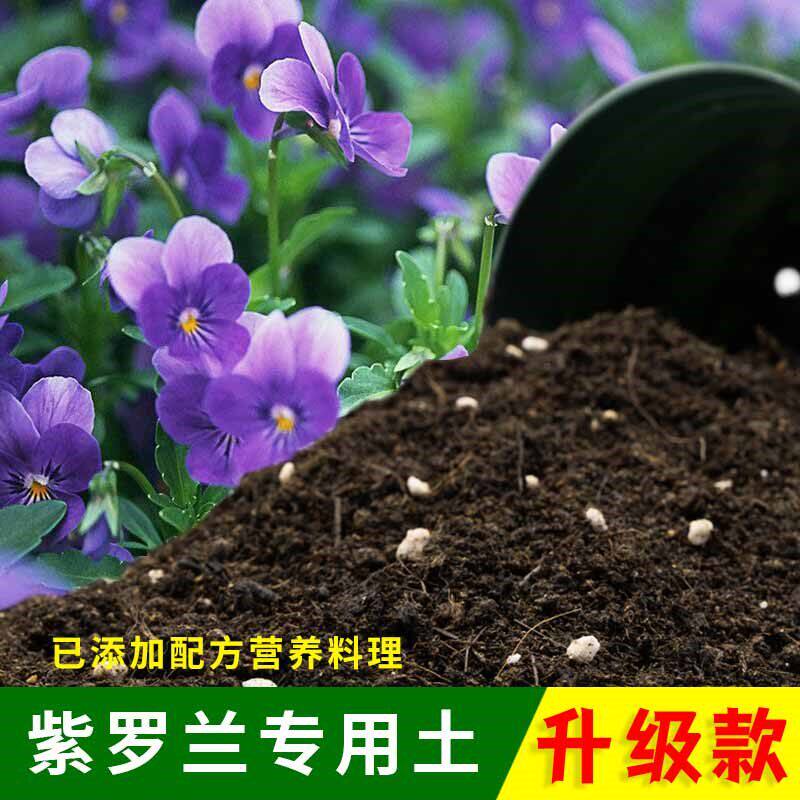 紫罗兰专用土家庭盆栽土肥料种花泥土紫罗兰营养土专用养花种植土